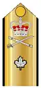 Shoulder boards for: short-sleeve shirt, tropical white tunic, summer white mess dress, 2C shipboard mess dress