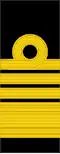 Tunic rank insignia (2010-)