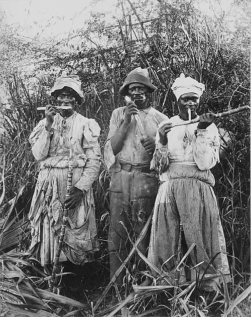 Image 26Cane cutters in Jamaica, 1880s. (from History of the Caribbean)