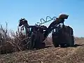 A cane harvester collects cane for the mill, 2007