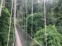Kakum National Park – National Park.
