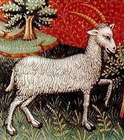 Symbol of Dey (Capricorn)