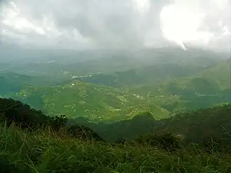 Southern Western Ghats, Near Thekkady in Kerala
