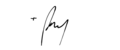 Pablo Virgilio David's signature