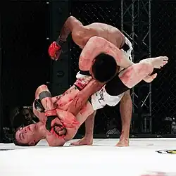 Image 34MMA fighter attempts a Triangle-Armbar submission on his opponent. (from Mixed martial arts)