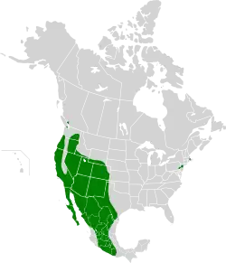 1958–1961