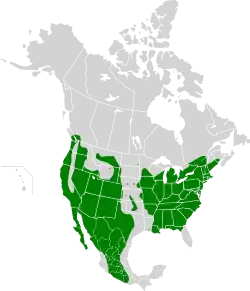 1988–1990