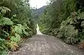 Carretera Austral near Caleta Gonzalo
