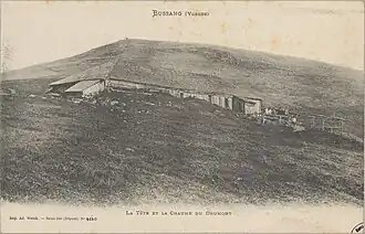 The head and the thatch of Drumont.
