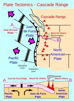 Image 36Image of the Juan de Fuca Plate that produced the magnitude 8.7–9.2 Cascadia earthquake in 1700. (from Geology of the Pacific Northwest)