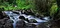 Stream at Barranco de Pisões