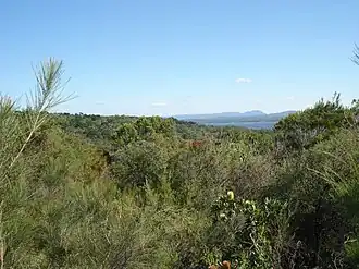 The view from Castaways Beach across the Noosa National Park to Lake Weyba with the Noosa Hinterland in the distance