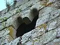 The castle window