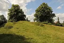Castlethorpe Castle: a motte and bailey, possible ringwork and associated earthworks 200m south-east of Castlethorpe Lodge