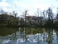 Cat Hill Chase Side Pond