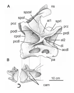 Center