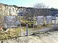 Finding site of Tethyshadros