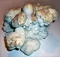 Calcite cave formation: corallite forms ("spheroidalites", - dissymmetrical spherulites)