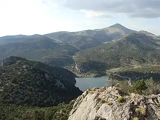 Landscape