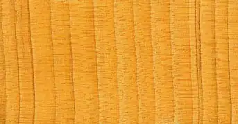 Cedar wood has a strong sweet spicy-resinous scent, and a distinctive colour and grain.