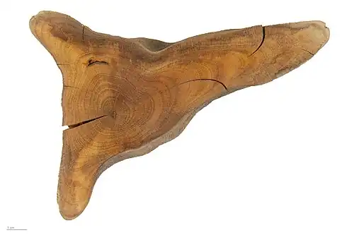 Wood - MHNT