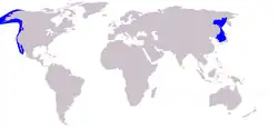 Gray whale range