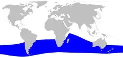 Gray's beaked whale range