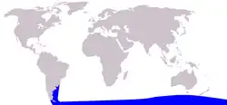 Spectacled porpoise range
