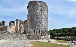 Ruins of the chateau