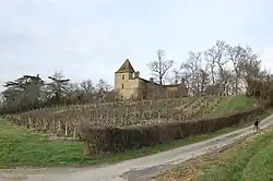 Chateau of Reveillon in Mirepoix