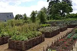 Vegetable garden
