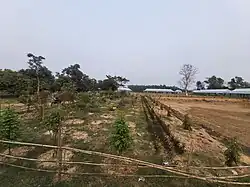 Chander Haat, Sakhipur