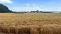 Changping Experimental Base Institute of Crop Sciences, 2022