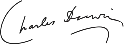 "Charles Darwin", with the surname underlined by a downward curve that mimics the curve of the initial "C"