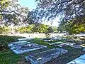 Coffins