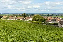 The village in the vineyards
