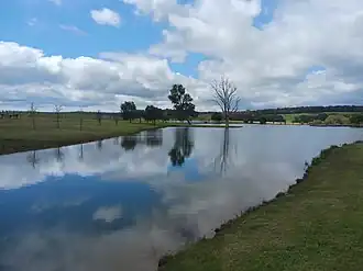 Rural landscape in Wilyabrup, seen from a local brewery