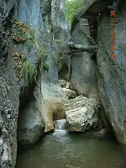 Cheile Șugăului&nbsp;[ro]