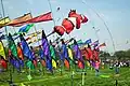 Blossom Kite Festival, March 31, 2012