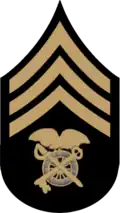US chevrons—quartermaster sergeant insignia (1902–1909): buff on black with blue detail.