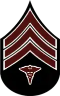 Rank insignia for Sergeant, 1902–1909.
