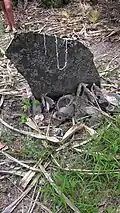 Chief Roi mata's grave (Eratoka Island, 8 January 2017)