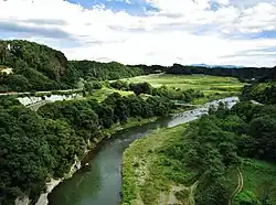 River moving left to right in the mid ground surrounded by green grass and trees and mountains in the background