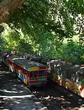 Passenger carts