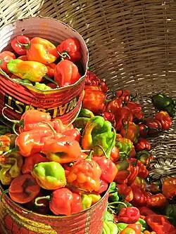 Scotch bonnets in Serrekunda market