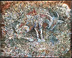 "Chivo" (Goat)