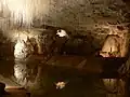 Stalactites of the type called "soda straws" from the Choranche caves in the Vercors, France