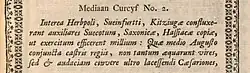 van Dijck's Kleine Mediaan italic type