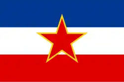 Diplomatic and consular representatives