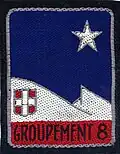 Insignia of CJF 8 (second model).